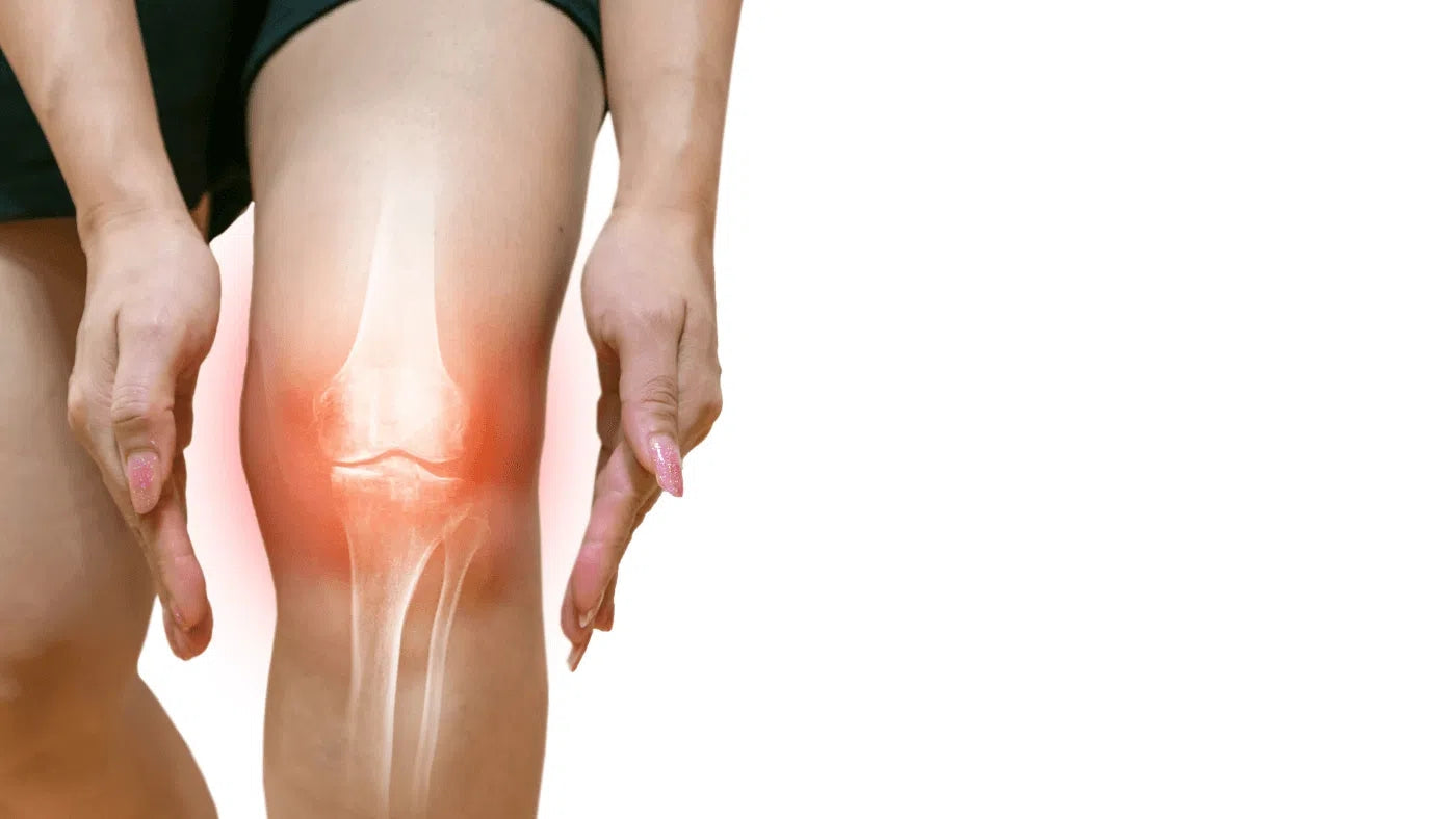TRAINING & ONTSTEKING: KAN CBD HELPEN LETSELS TE VOORKOMEN?