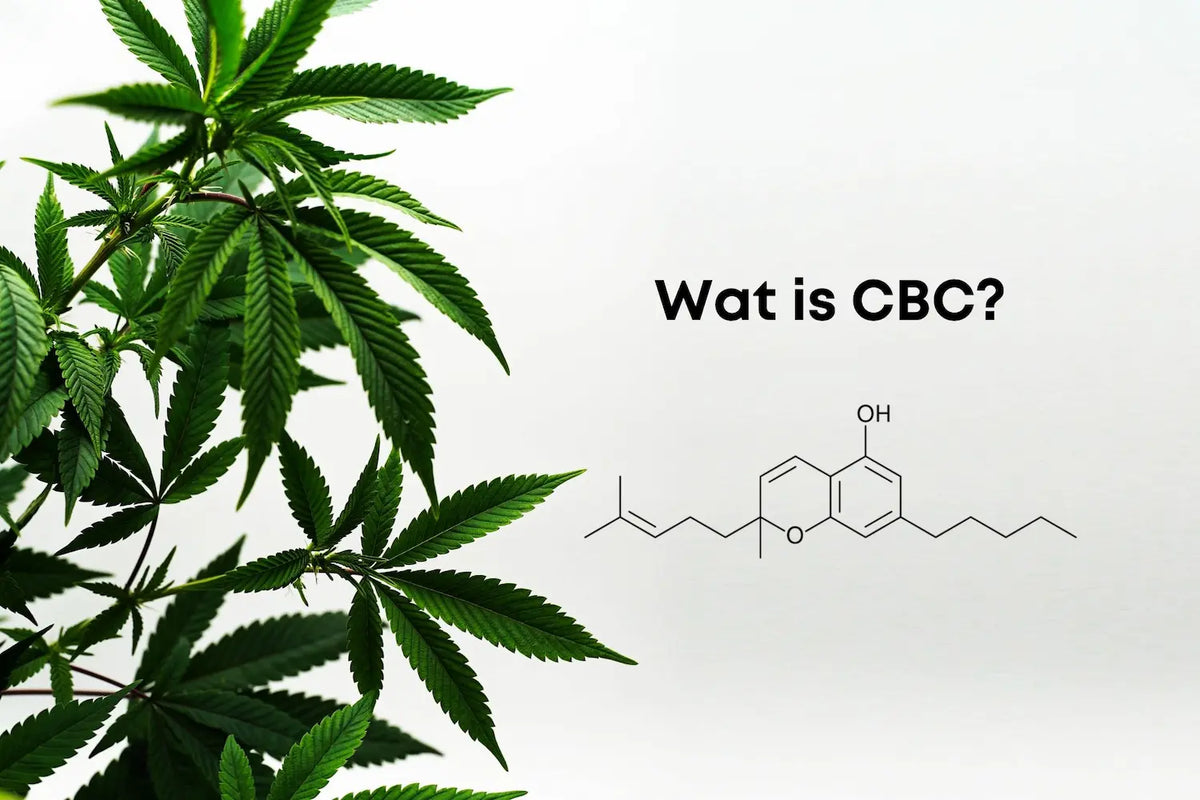 Cannabisbladeren met de molecuulstructuur van CBC.