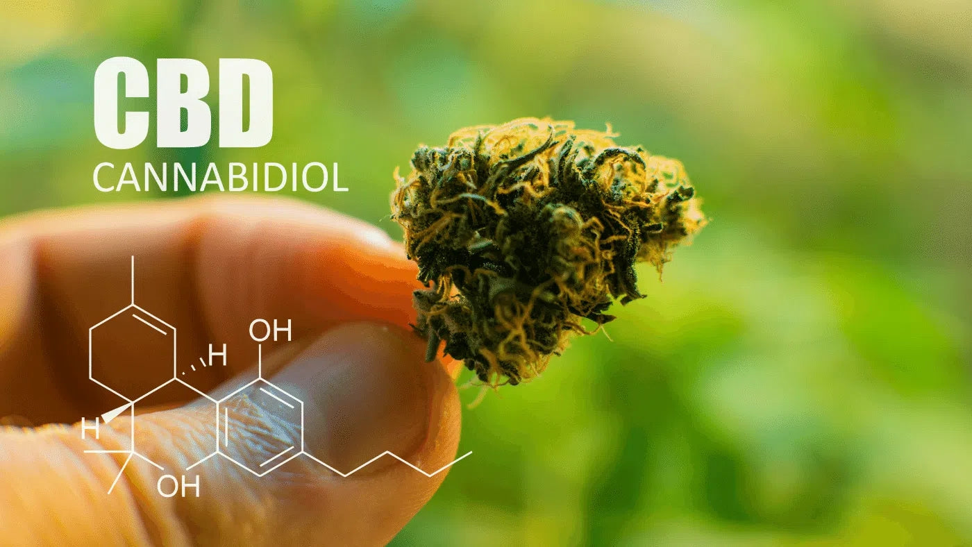 Wat is het verschil tussen CBD-isolaat en CBD-distillaat?