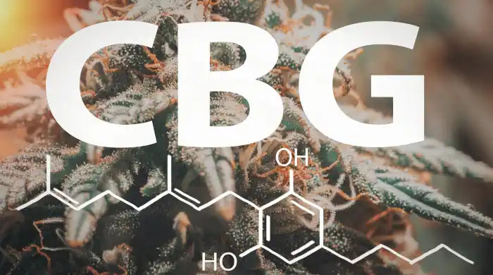 CBG molecuulstructuur boven een cannabisplant.