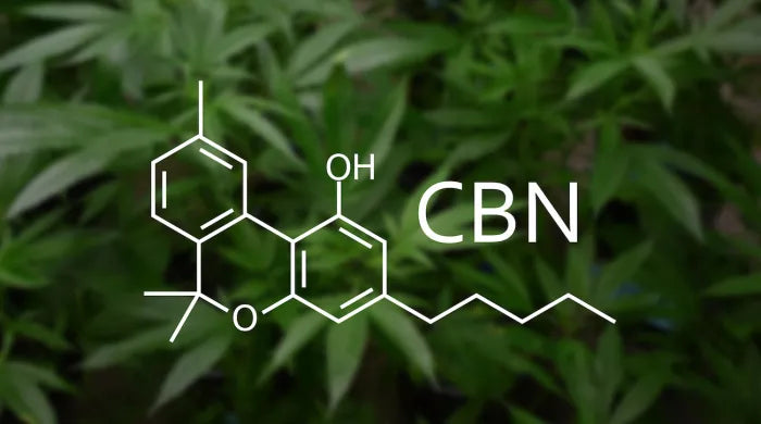 Molecuulstructuur van CBN naast cannabisbladeren.