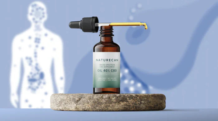CBD olie met een illustratie van het lichaam.