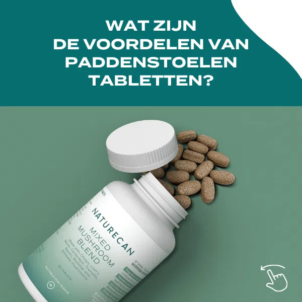 Lion's Mane & Chaga Mushroom Complex Tabletten