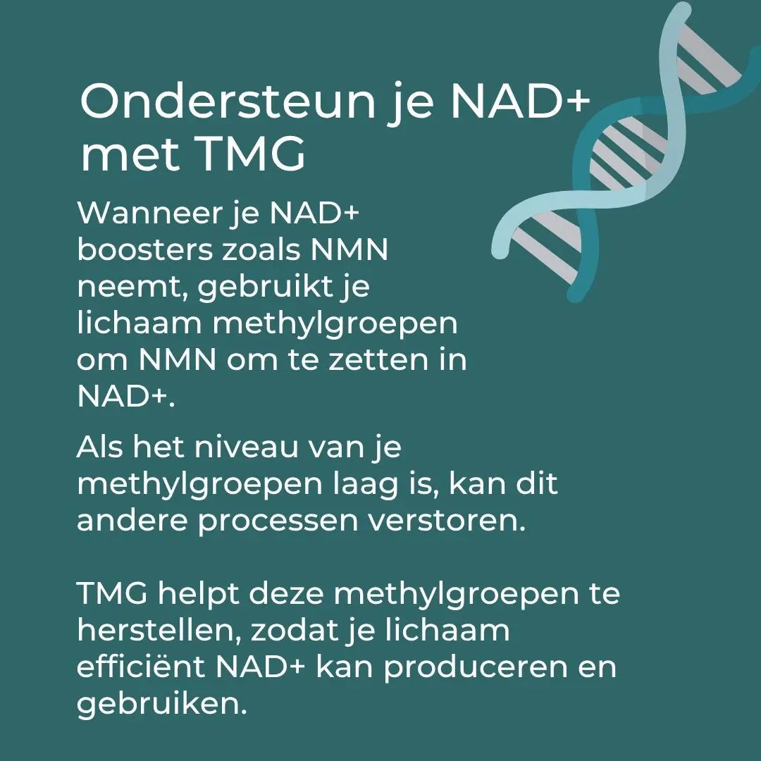 TMG Supplement