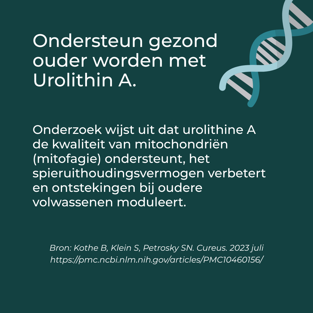 Tekst over Urolithin A voor gezond ouder worden, met een DNA-helix illustratie en onderzoeksreferentie.