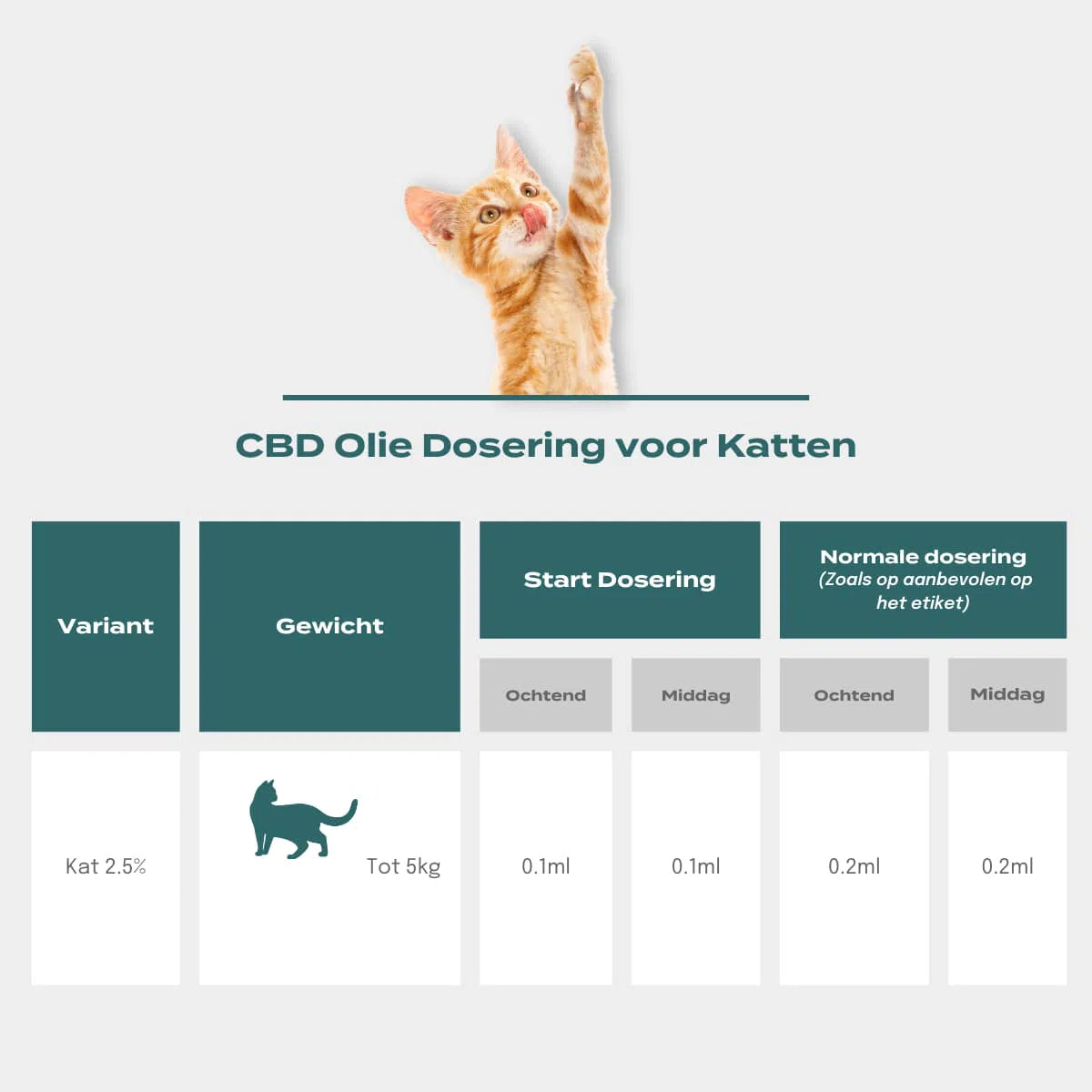 CBD Olie voor Katten