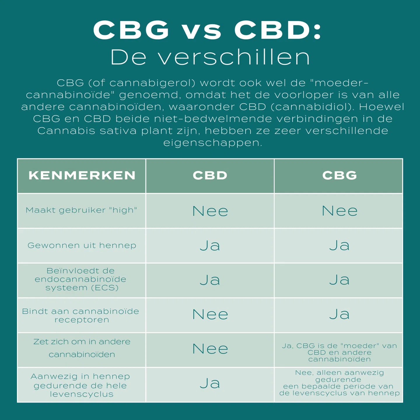 CBG Olie