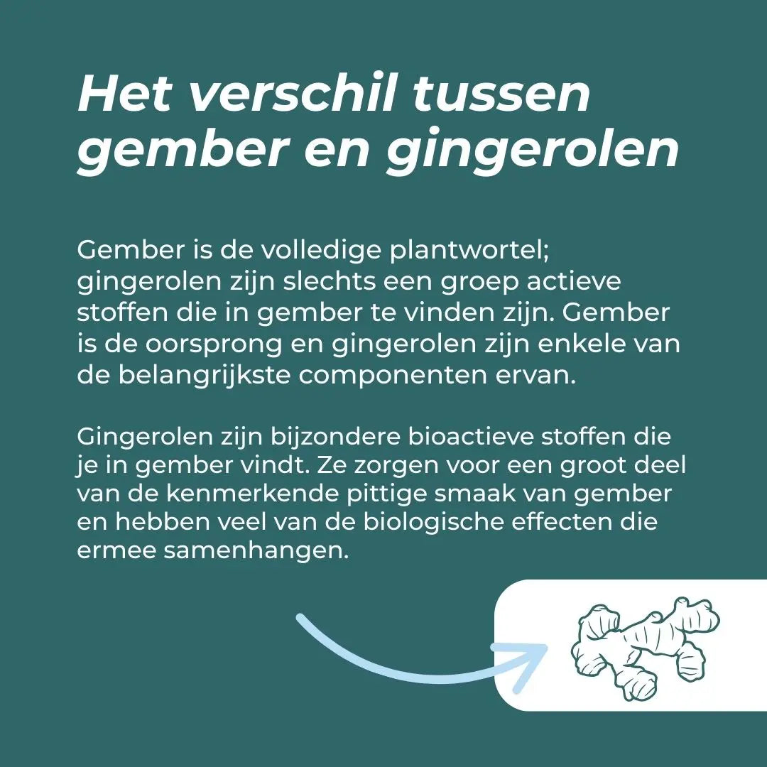 Organic Ginger Supplement