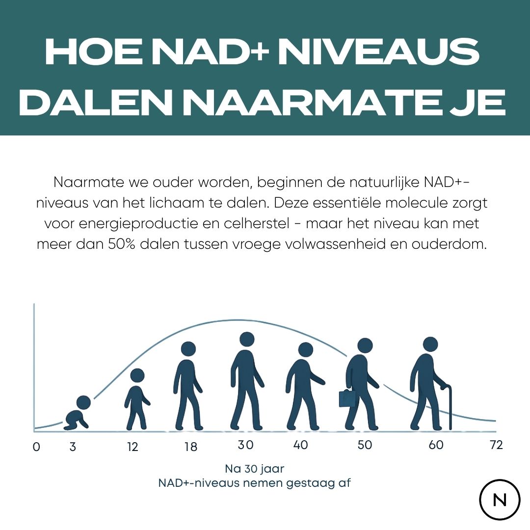NMN Poeder