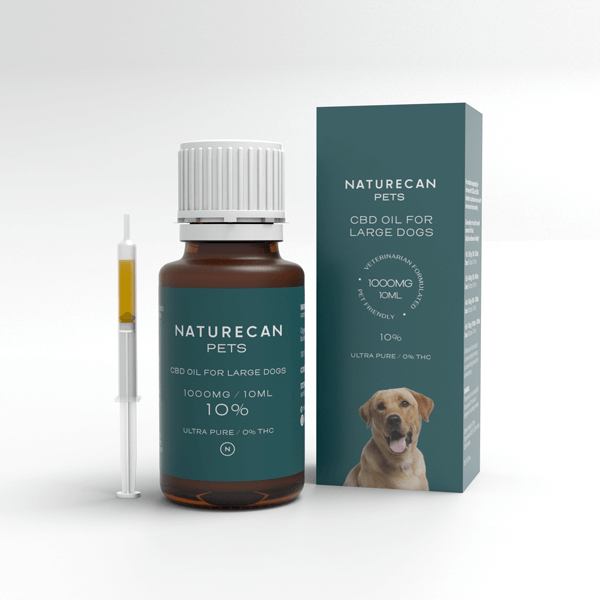 CBD Olie voor Honden met een injectiespuit en een verpakking die een labrador afbeeldt en '1000mg/10ml' vermeldt.