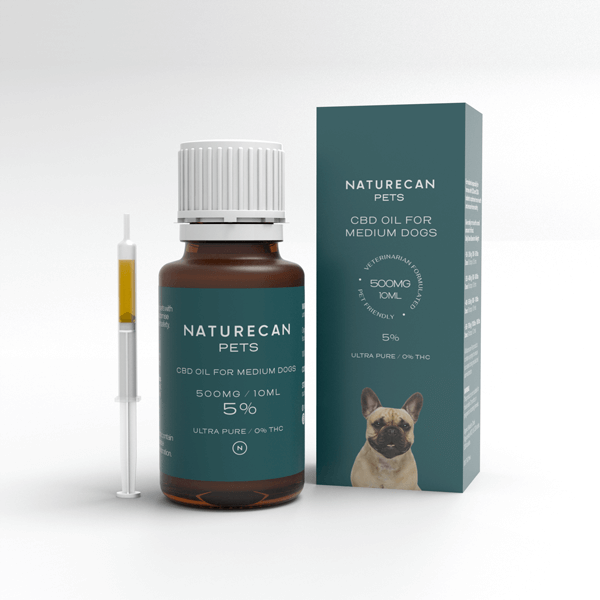 CBD Olie voor Honden met een injectiespuit en een verpakking met een Franse bulldog en 500mg/10ml vermeld.