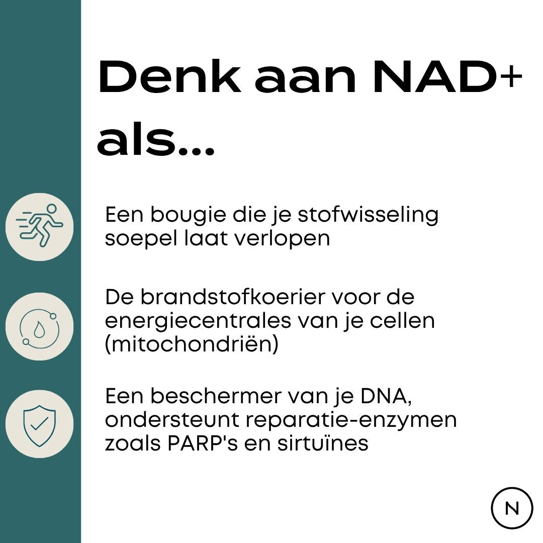NMN Poeder