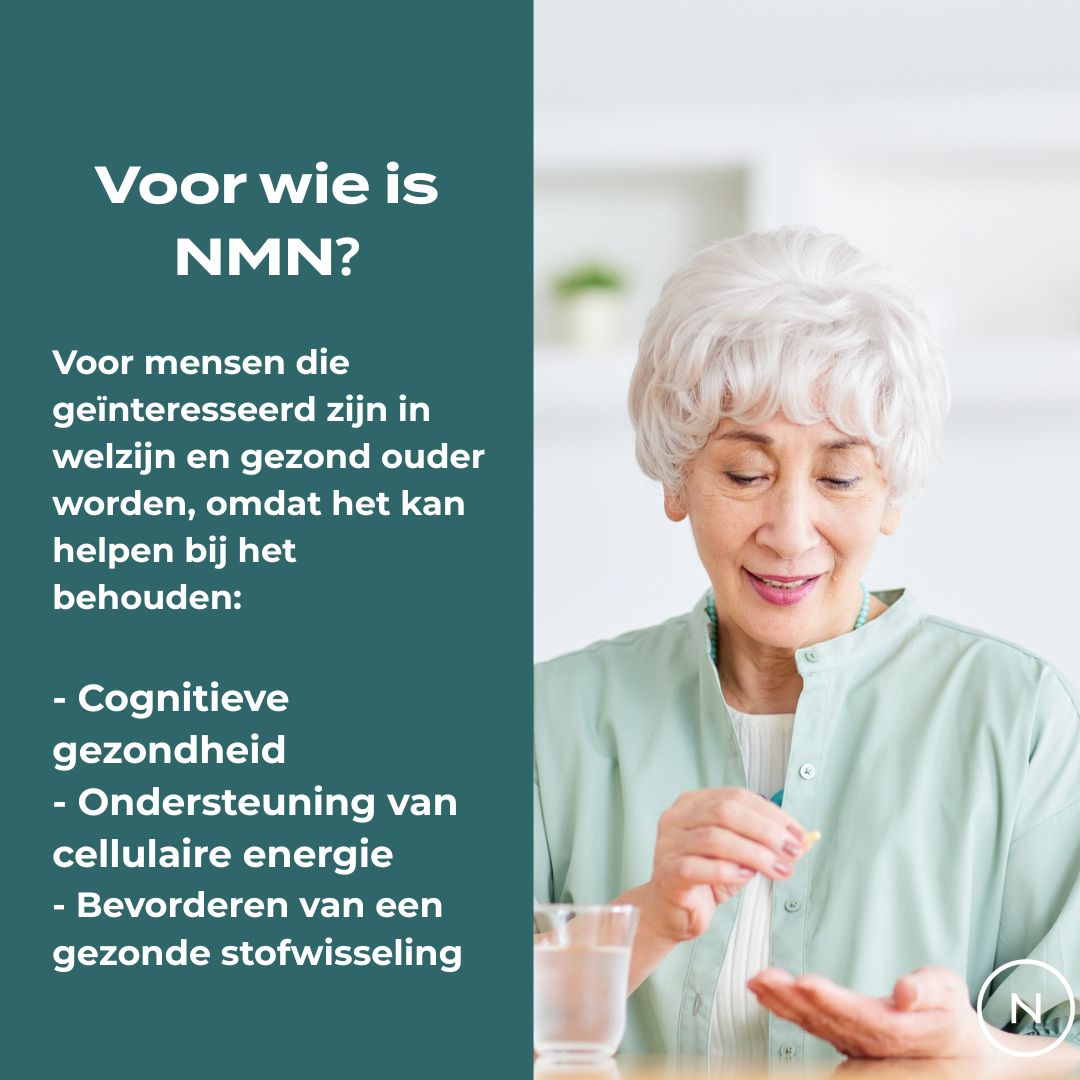 NMN Poeder