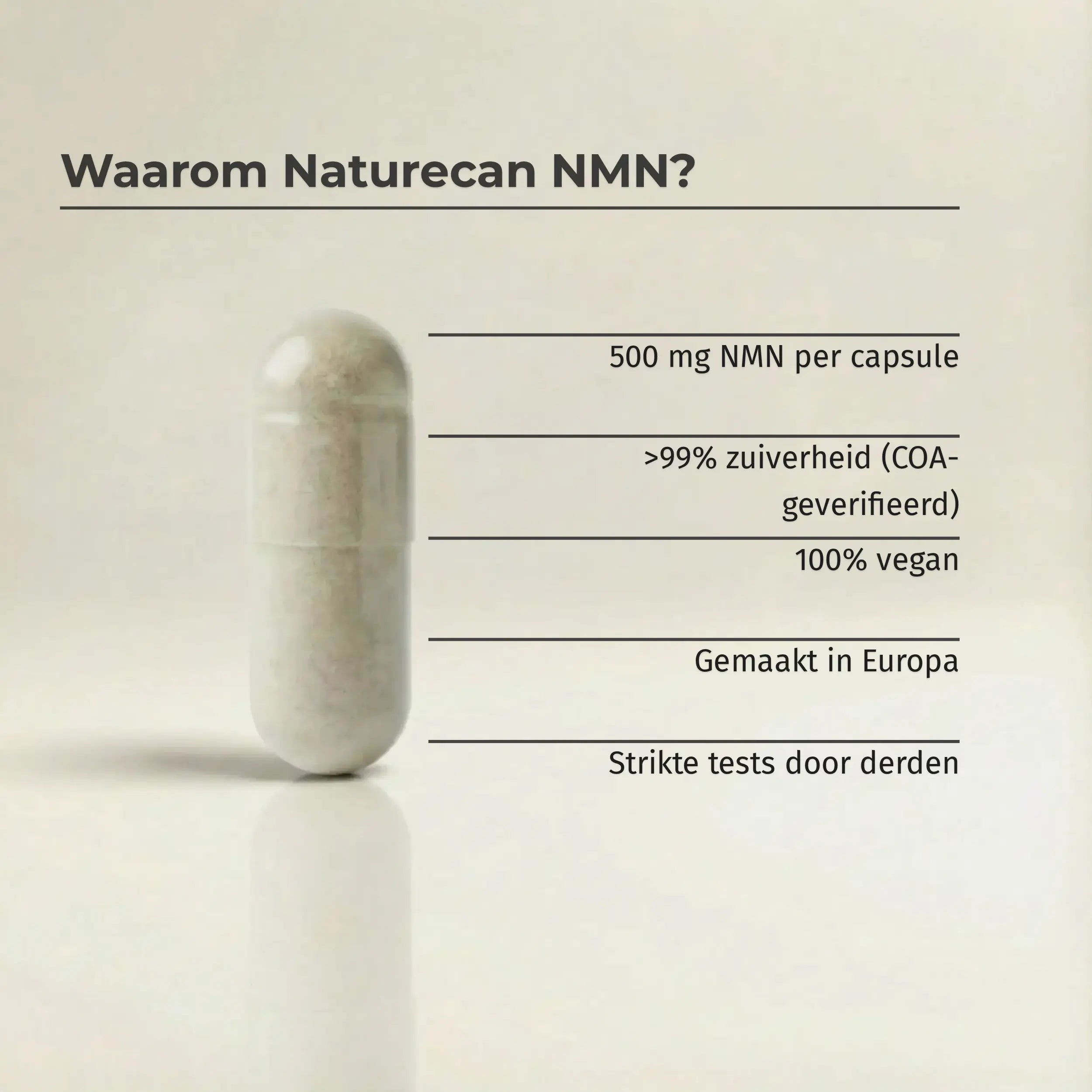 NMN Supplement