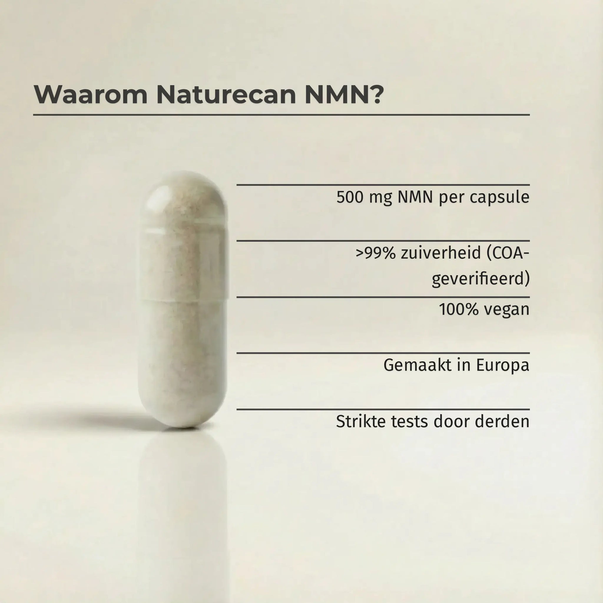 NMN Supplement