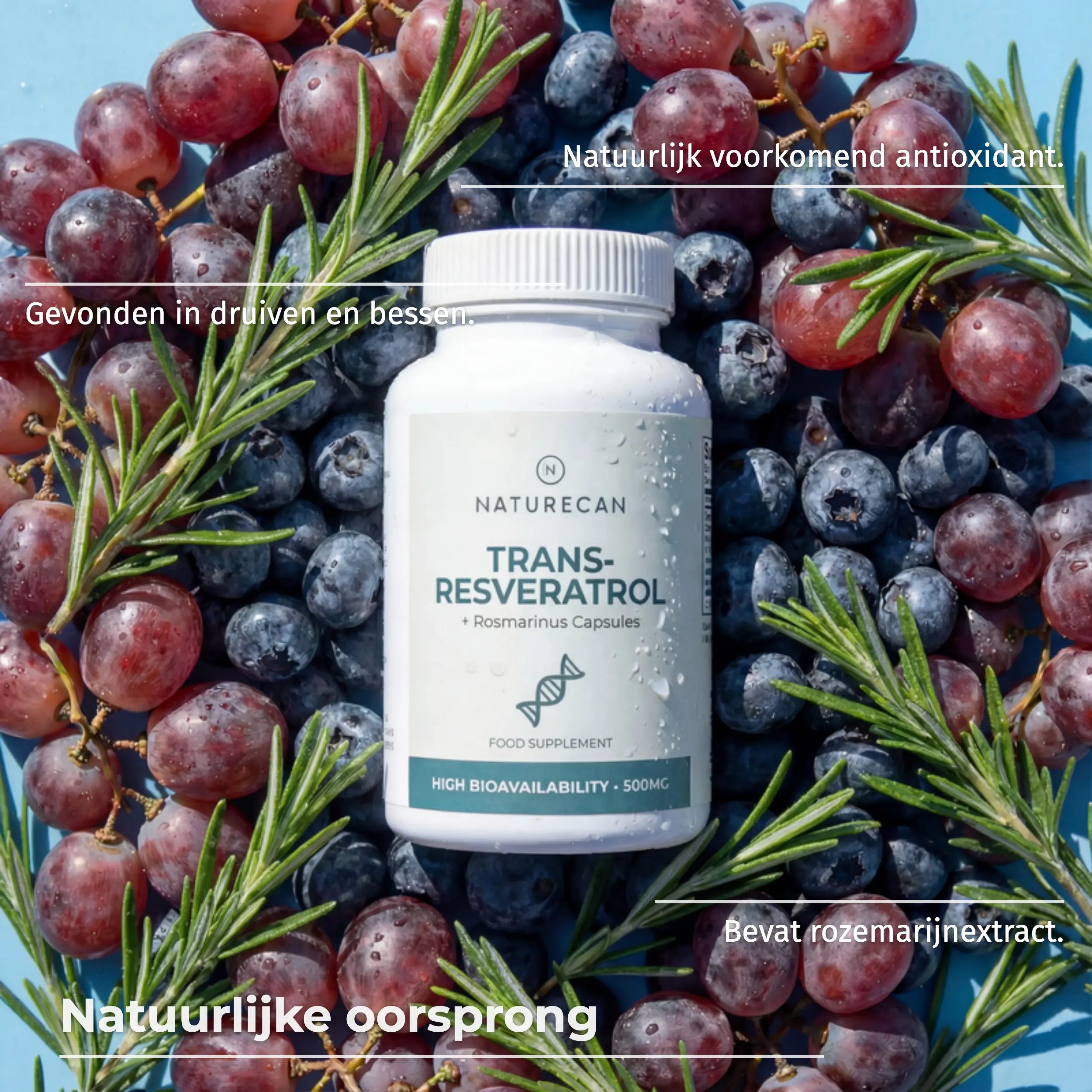 Resveratrol Capsules