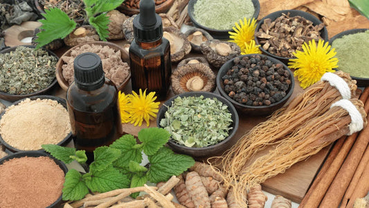 Ashwagandha vs Rhodiola: Wat is het beste voor jou?