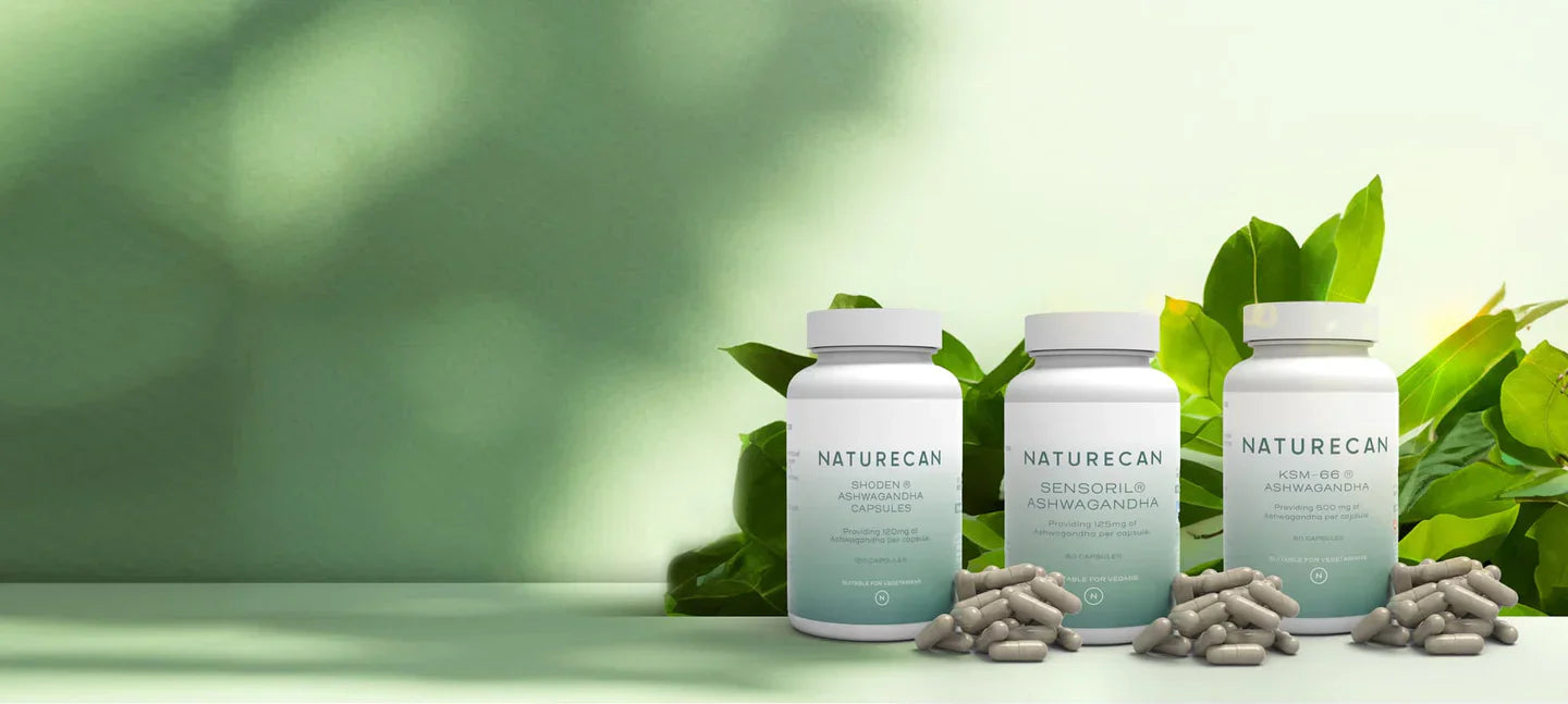 Vermindert Ashwagandha cortisol?