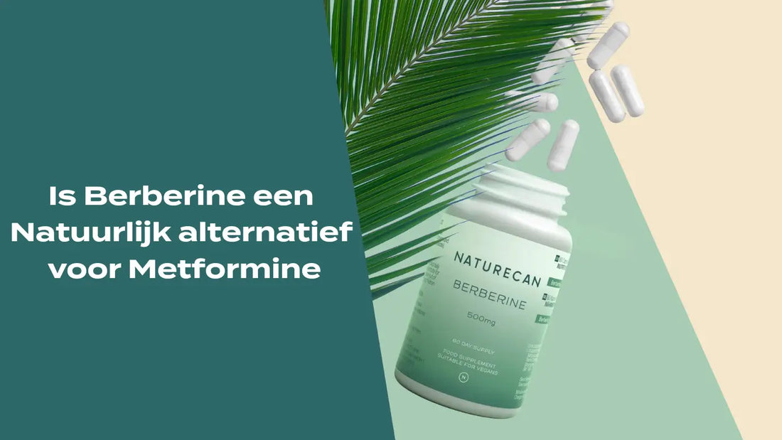 Is Berberine een natuurlijk alternatief voor Metformine