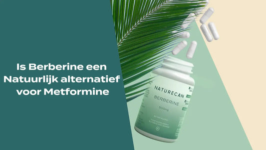 Is Berberine een natuurlijk alternatief voor Metformine