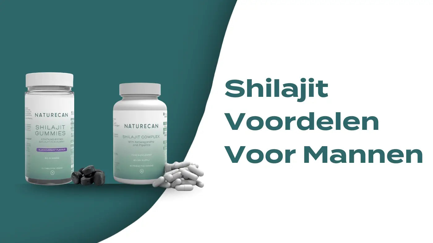 Shilajit Voordelen Voor Mannen