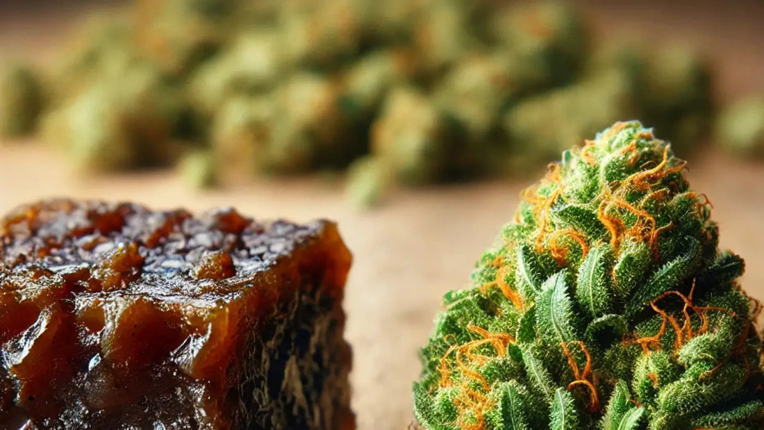 CBD hasj en CBD bloemen vergelijken