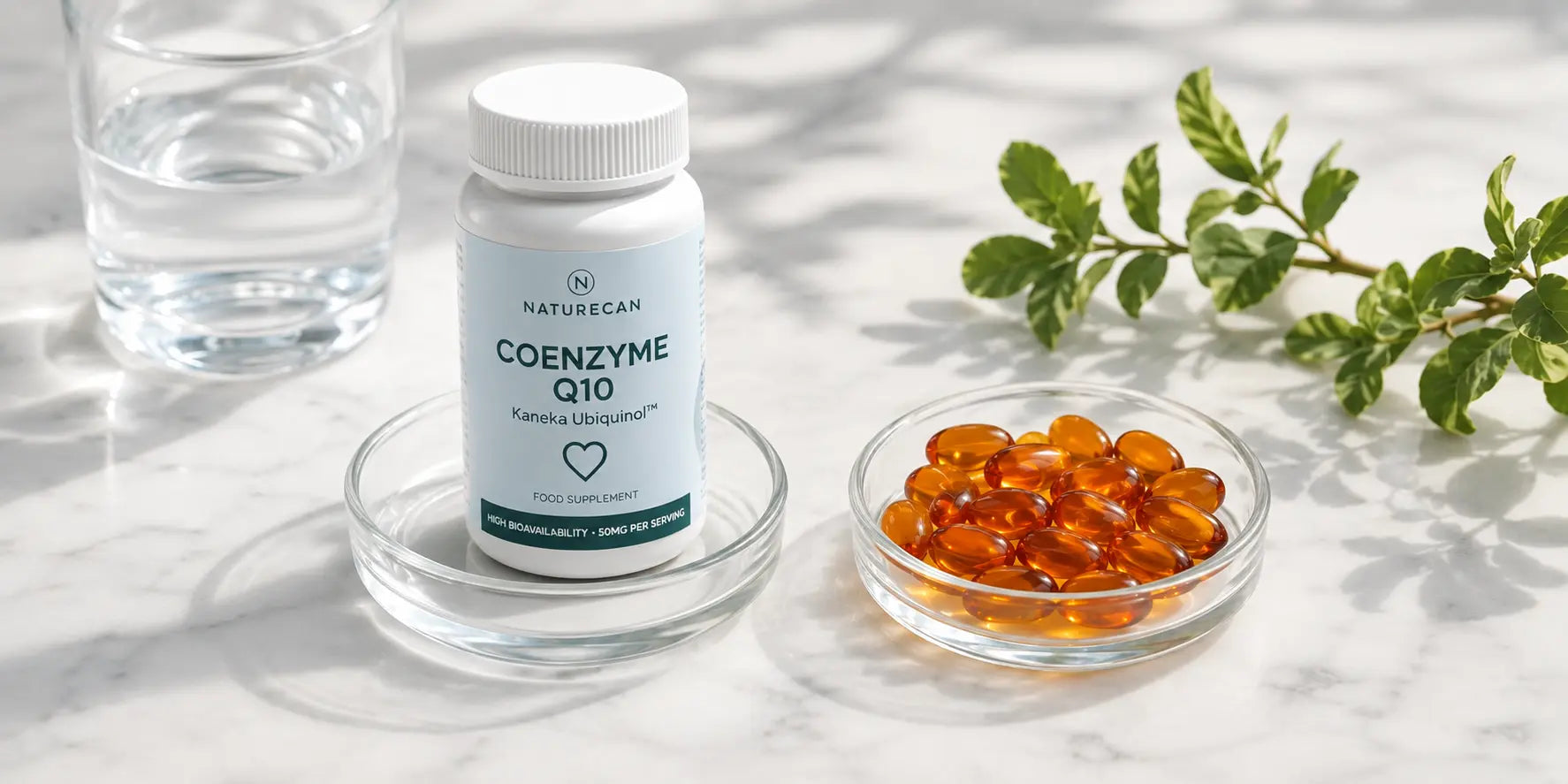 Ubiquinol vs CoQ10: Wat is het verschil en welke moet je nemen?
