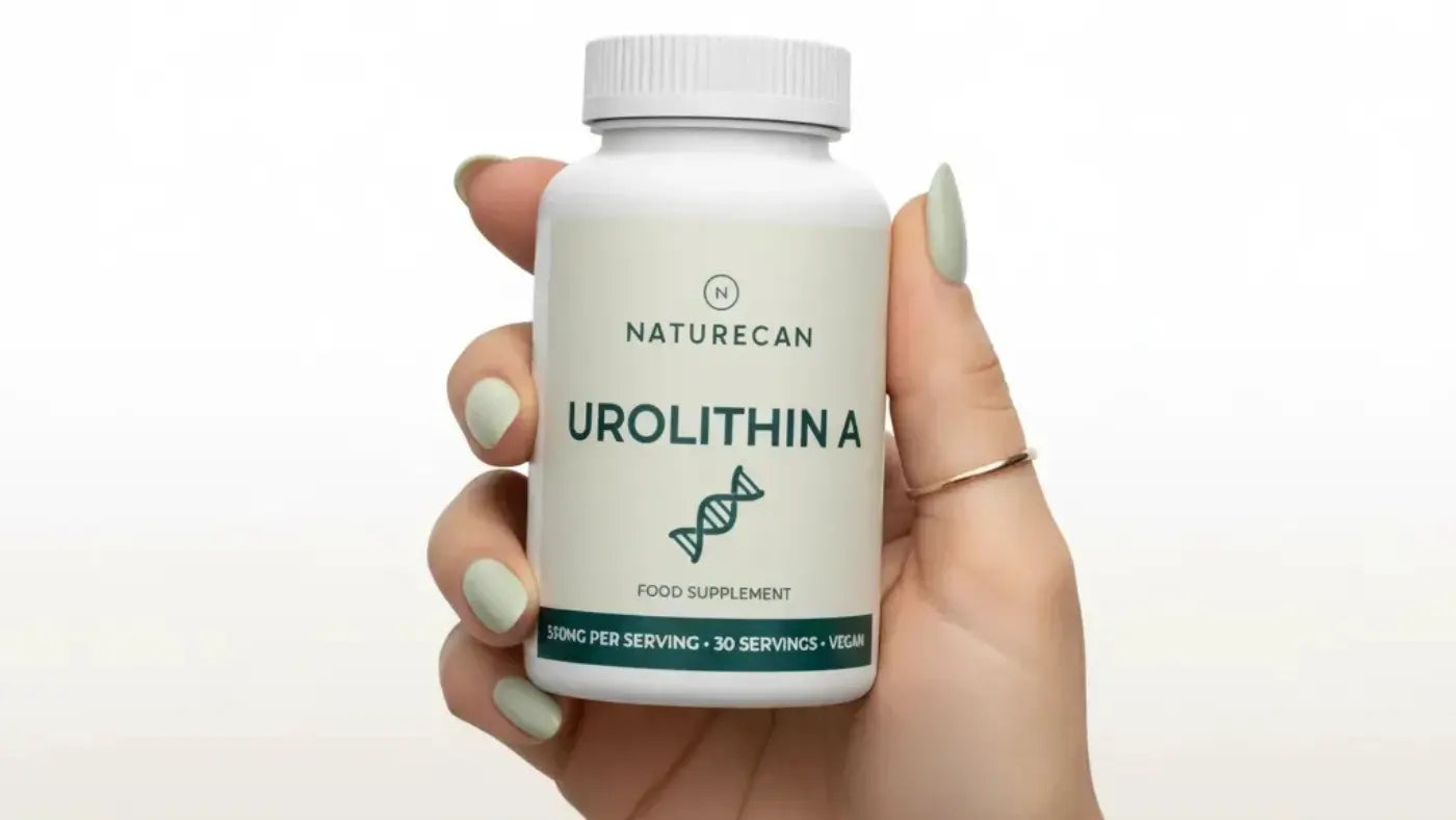 Urolithine A: Een gids voor postbiotische vitaliteit en cellulaire ondersteuning