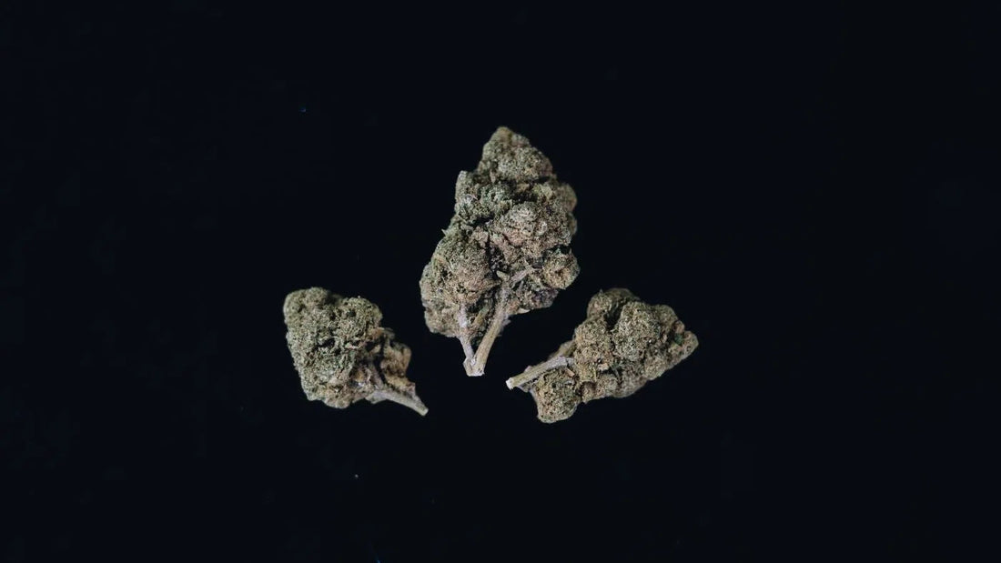 Indica vs Sativa: Welke is het beste voor mij?