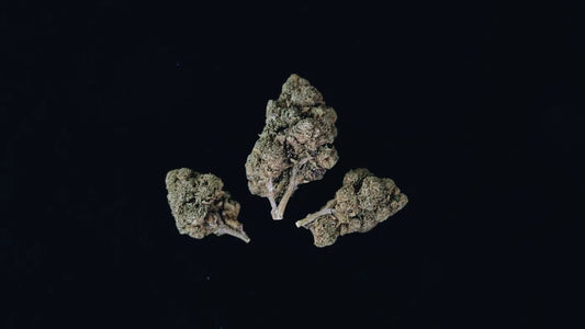 Indica vs Sativa: Welke is het beste voor mij?