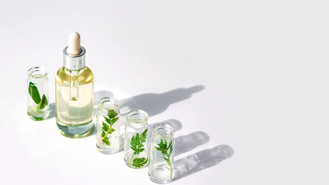 ACTIEVE INGREDIËNTEN UITGELEGD