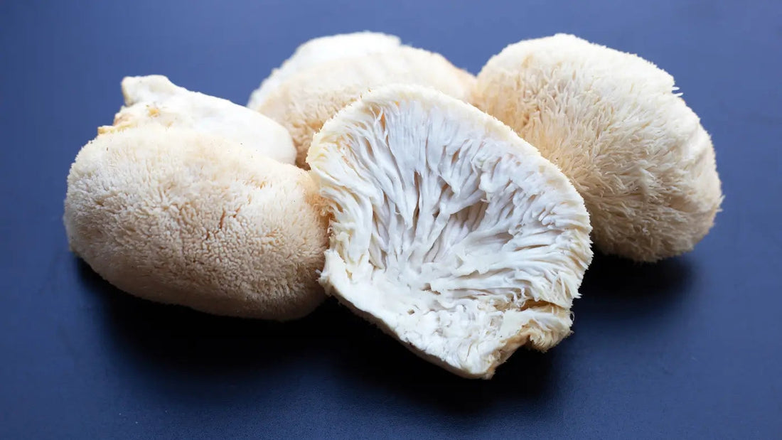 Wat is Lion's Mane en wat zijn de potentiële voordelen ervan?