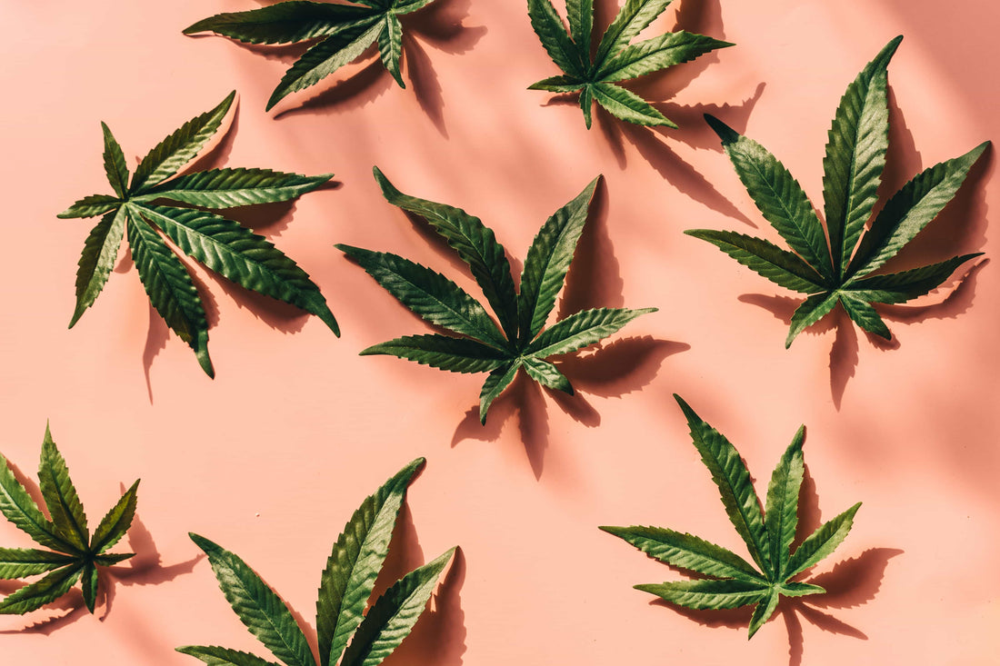 Hoe ruikt cannabis?