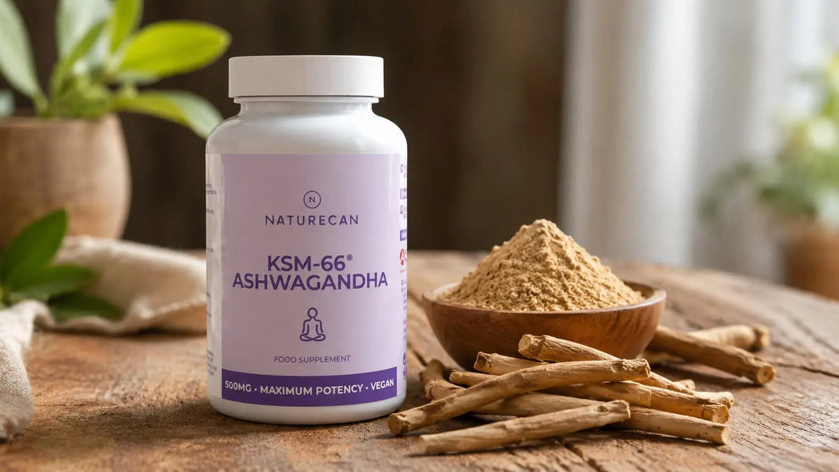 Wat is Ashwagandha?