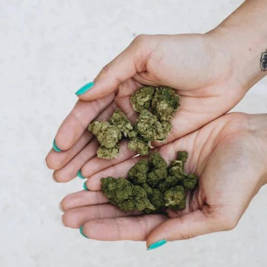 CBD Wiet Kopen