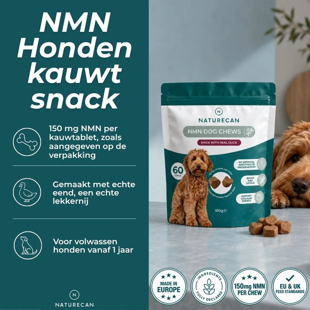 NMN Kauwsnacks voor Honden