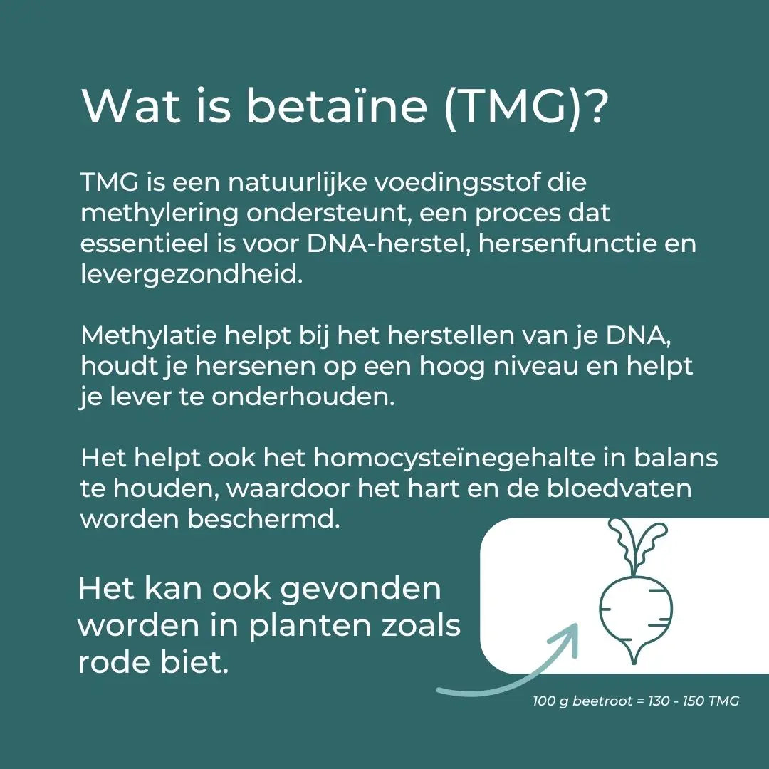 TMG Supplement