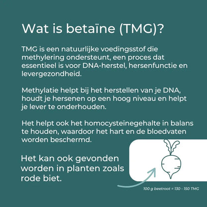 TMG Supplement