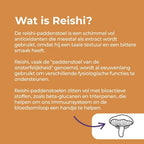 Reishi Paddenstoel Gummies