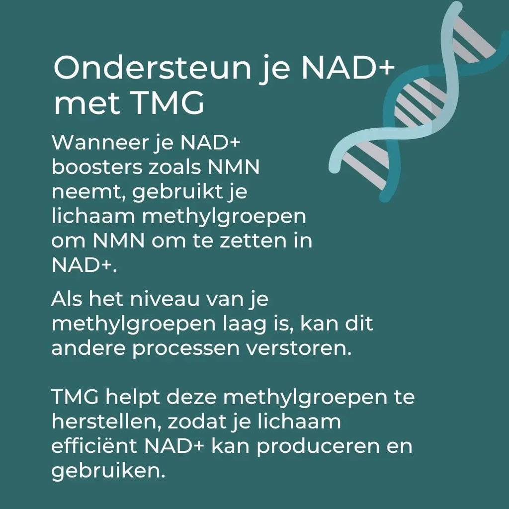 TMG Supplement