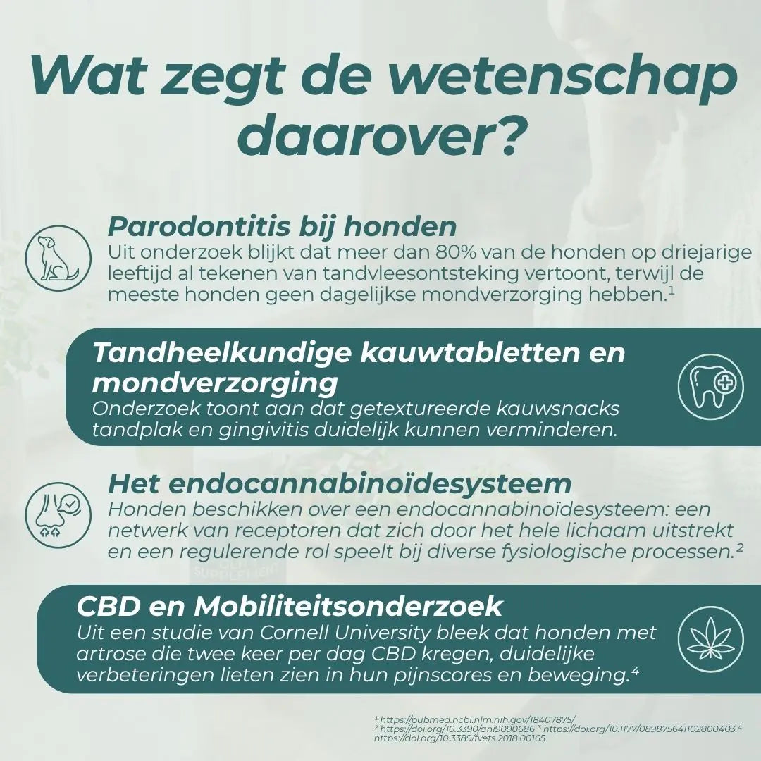 CBD-tandstokjes voor honden