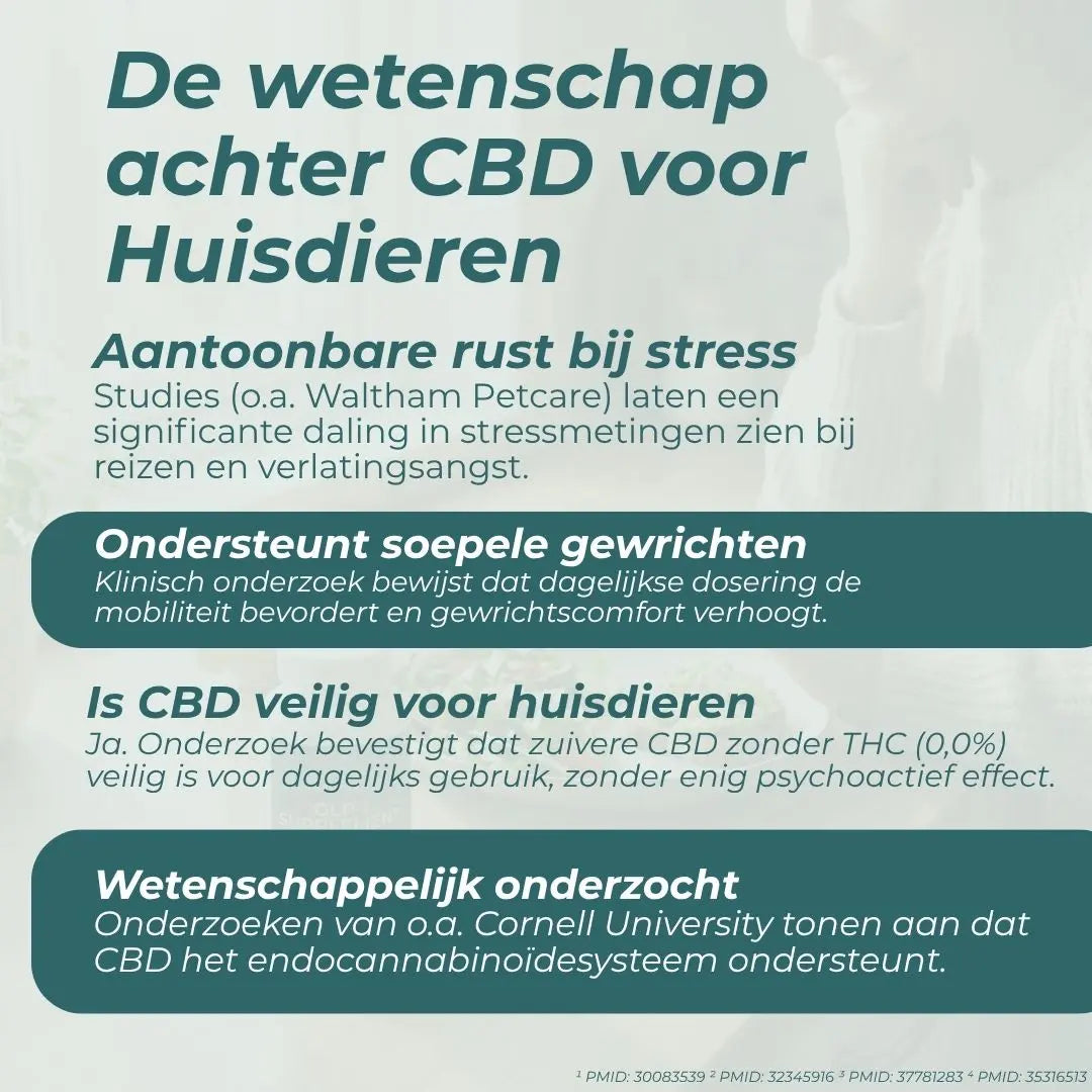 CBD Olie voor Honden