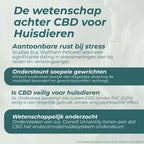 CBD Olie voor Honden
