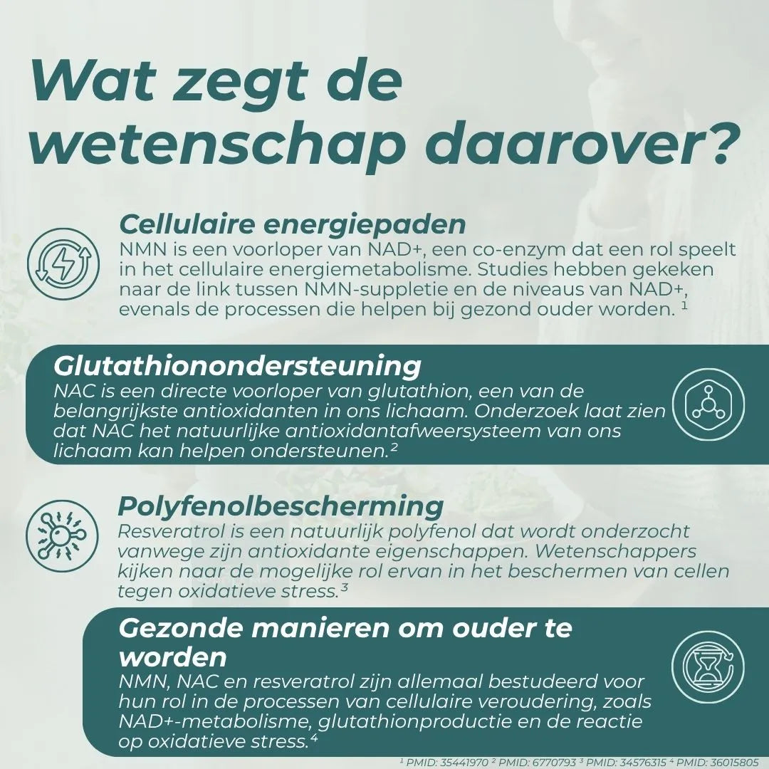 NMN, Resveratrol & NAC Bundel