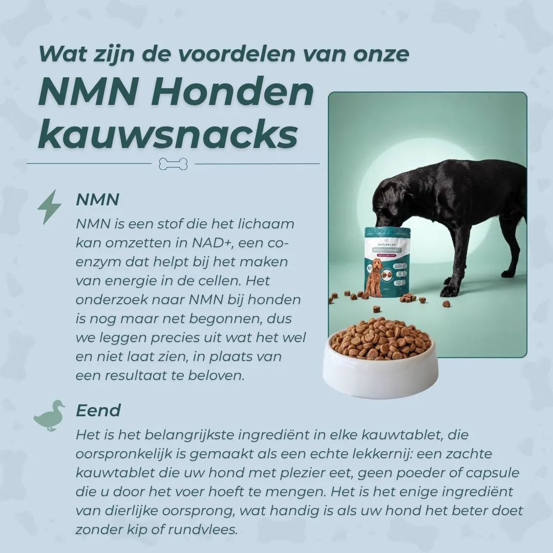 NMN Kauwsnacks voor Honden