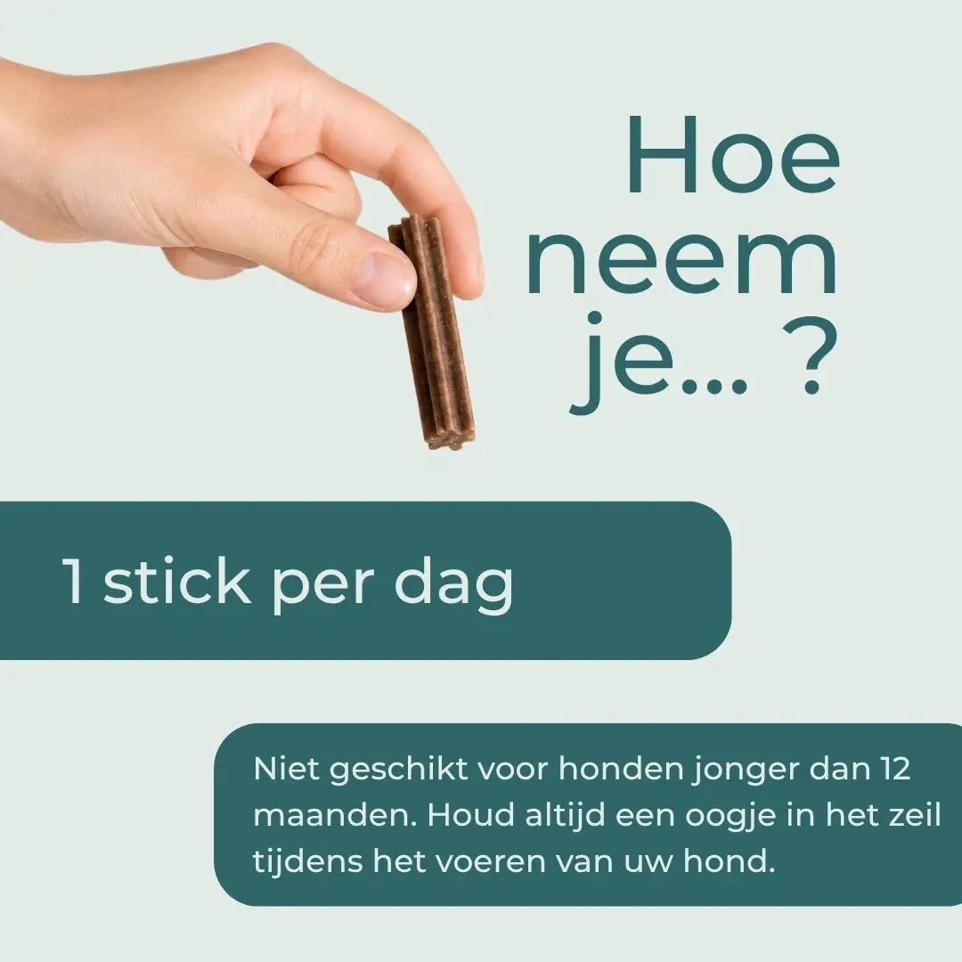 CBD-tandstokjes voor honden