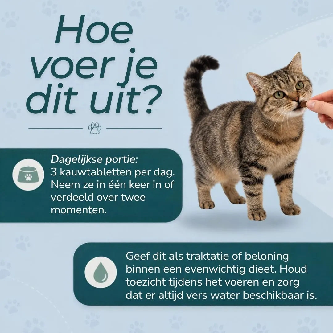 CBD Kalmerende Kattensnoepjes