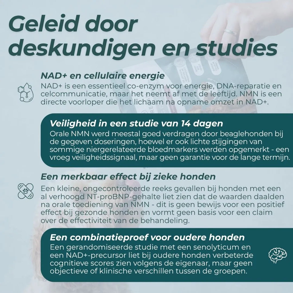 NMN Kauwsnacks voor Honden