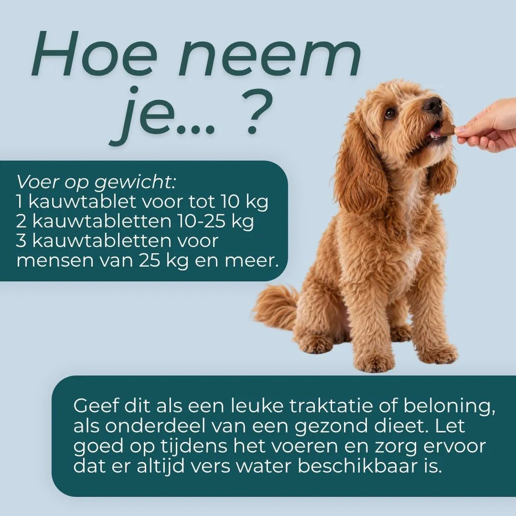 NMN Kauwsnacks voor Honden
