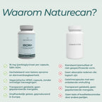 Naturecan Iron+ supplementflesje